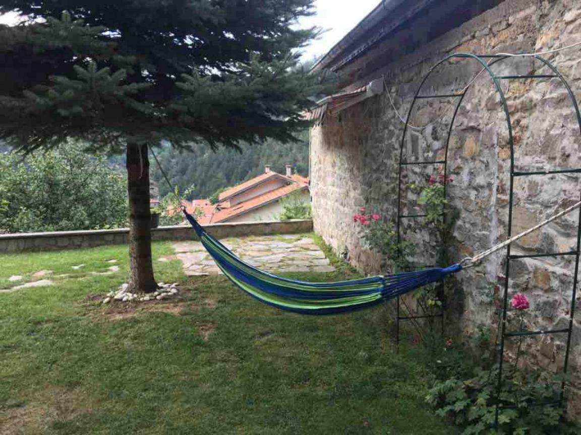 Ambrozia Spa And Relax Family House Bachkovo Exteriör bild