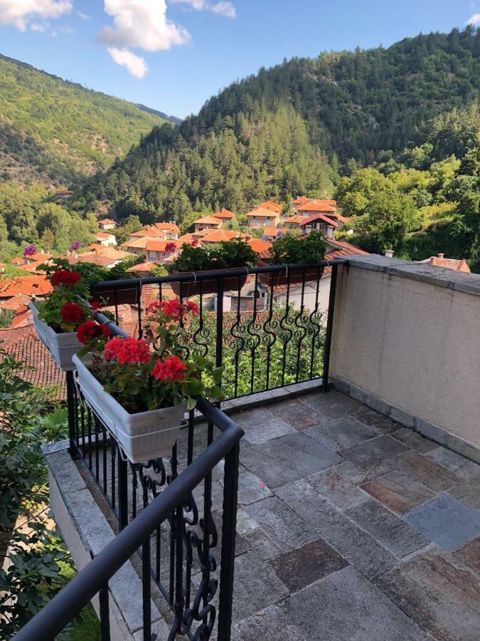 Ambrozia Spa And Relax Family House Bachkovo Exteriör bild